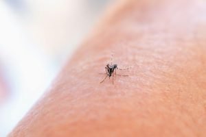 national-institute-of-allergy-and-infectious-diseases-oXh6ZUdW-gg-unsplash-825x510